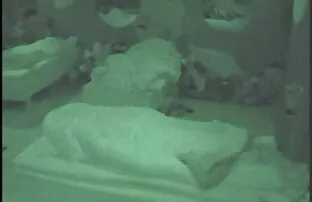 XXX او از یک عضو اسپرم می عکس سکسی کیر کون کس کند.