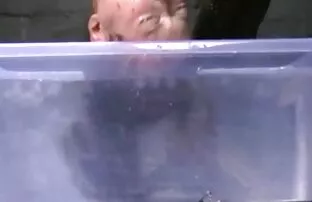 XXX شوهر گونه گونه شورت همسرش را به یک طرف فشار داد و تصاویرسکسی کیرکلفت گربه را لیسید ، همسرش که دهانش را مرطوب می کند