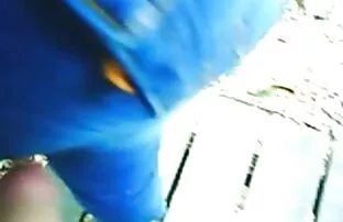 XXX مردی در کلیه سوراخ ها دو عوضی را در یک تخت سکسیکوس کون قرمز سرخ می کند